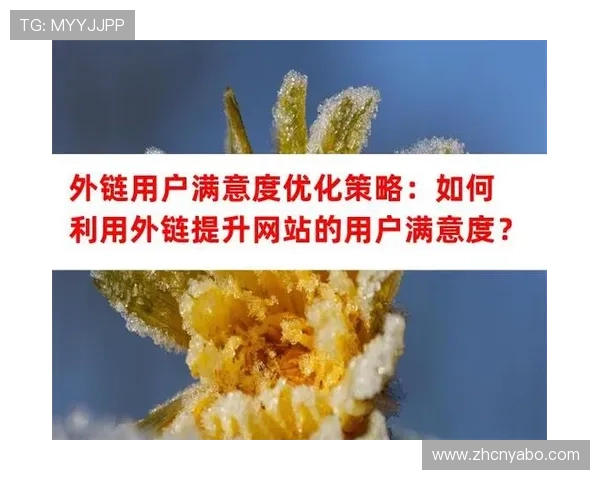 亚博：实现个性化推荐提升用户满意度的有效策略