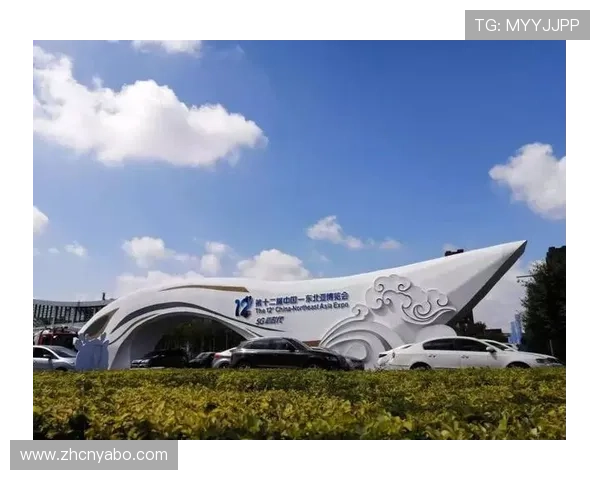 亚博YaBo线上登陆常见问题及解决方案全攻略 亚博YaBo线上登陆常见问题及解决方案全攻略